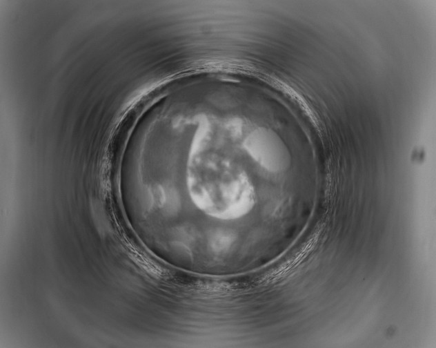 X0000100471019200806131122