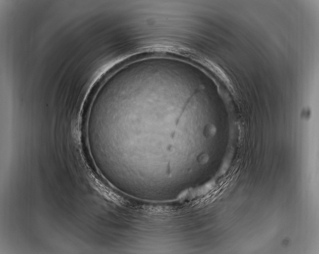 X0000100471020200806131122