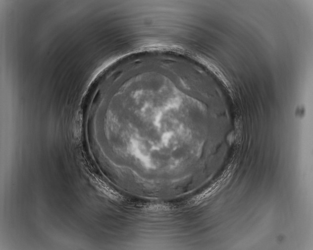 X0000100471021200806131122