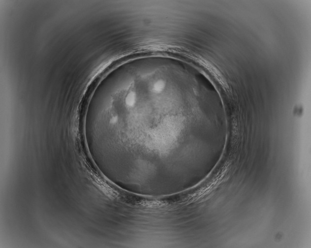 X0000100471023200806131122