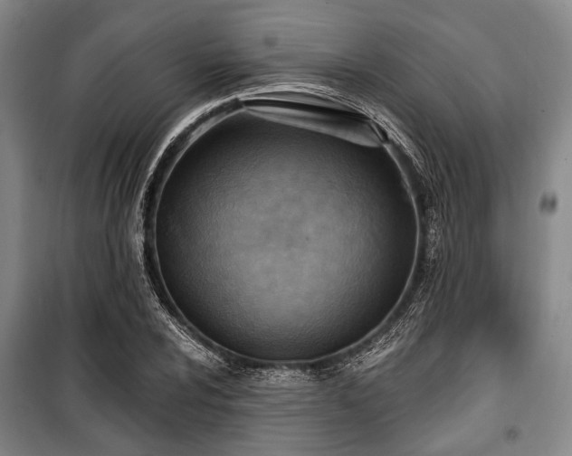 X0000100471024200806131122