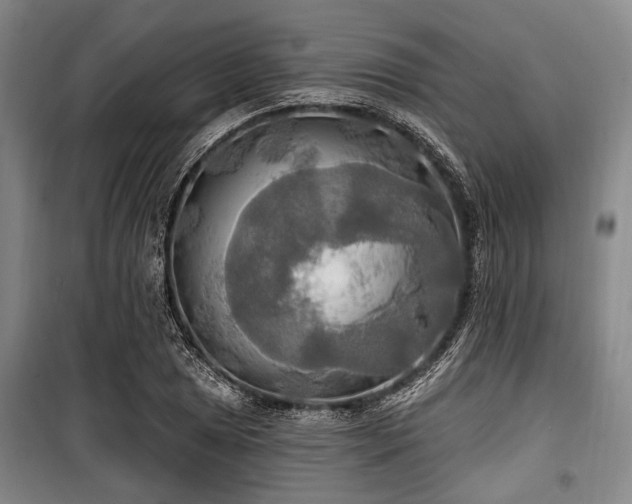 X0000100471025200806131122