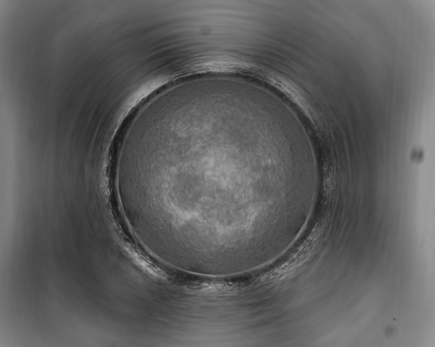 X0000100471026200806131122