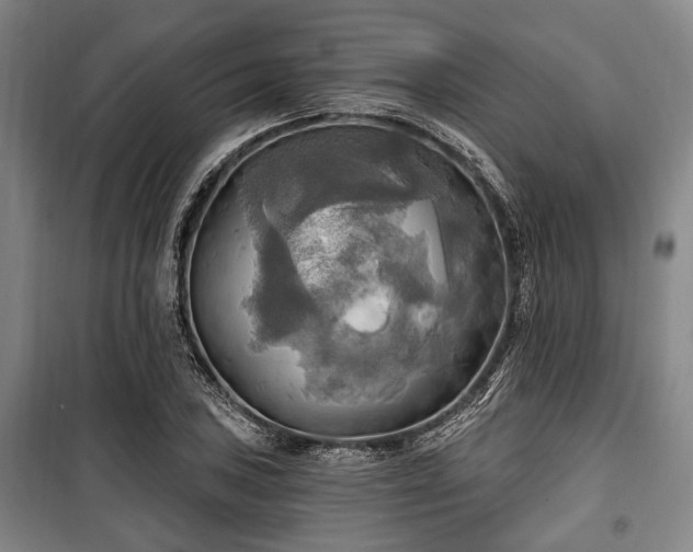 X0000100471027200806131122