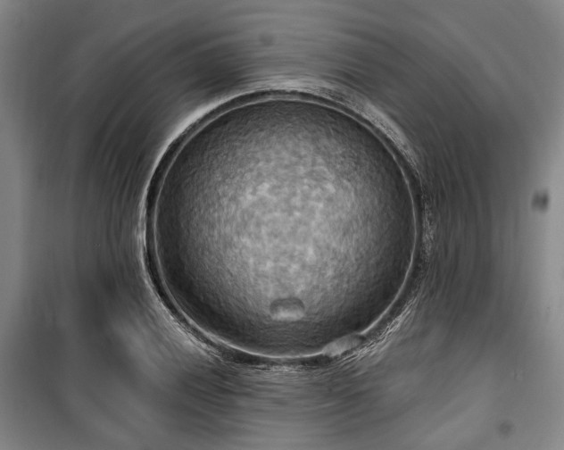 X0000100471028200806131122