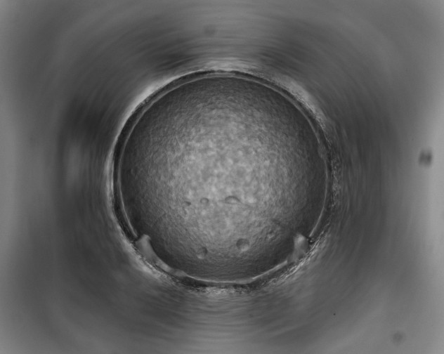 X0000100471032200806131122