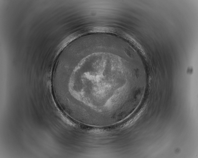 X0000100471033200806131122