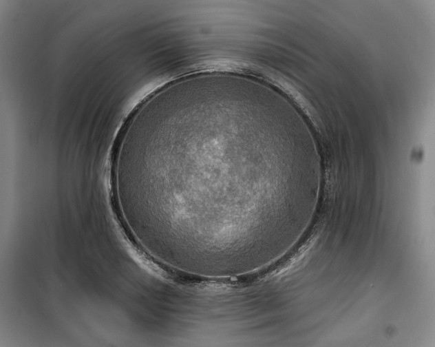 X0000100471034200806131122