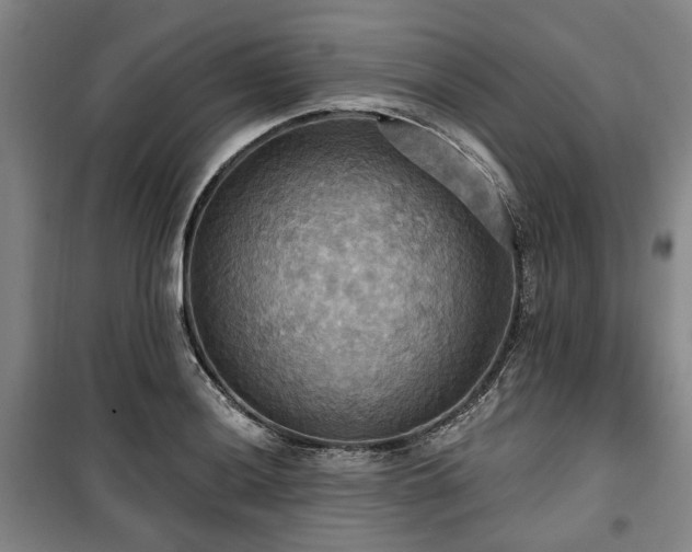 X0000100471036200806131122