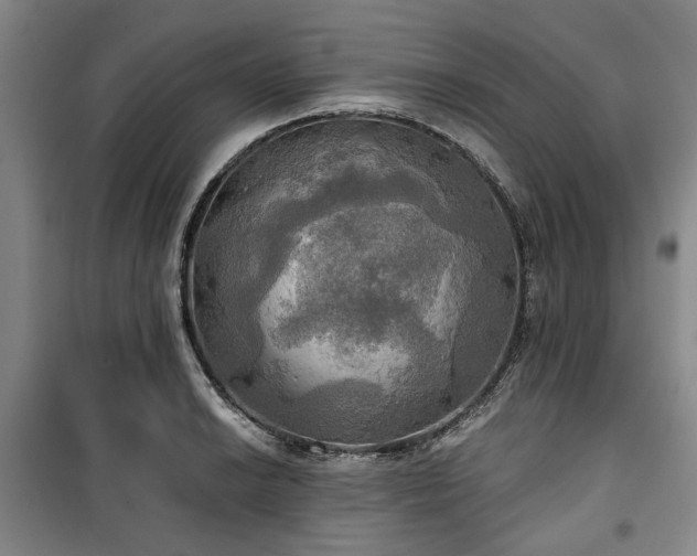 X0000100471038200806131122