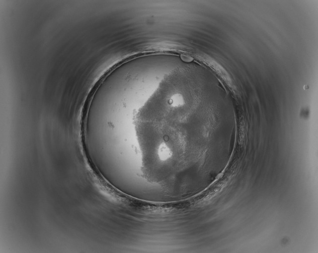 X0000100471039200806131123