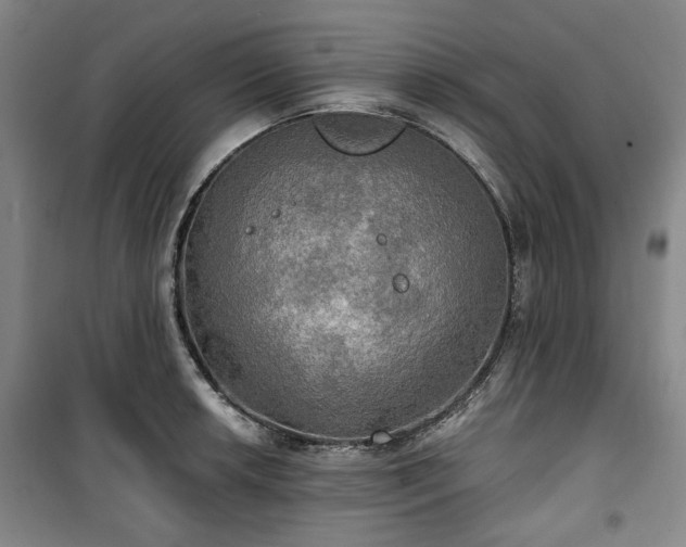 X0000100471042200806131123