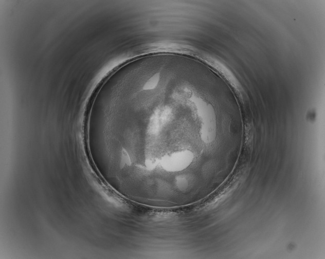 X0000100471043200806131123