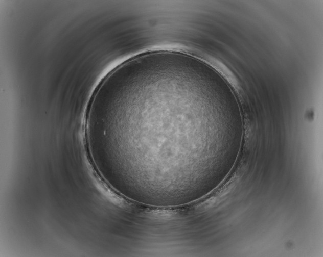 X0000100471044200806131123