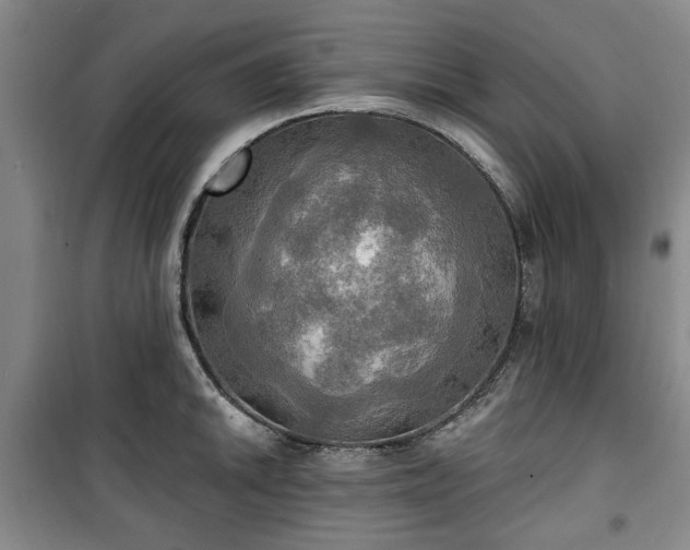 X0000100471046200806131123