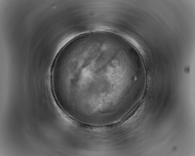 X0000100471047200806131123