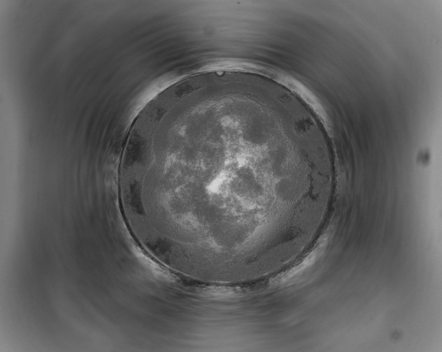 X0000100471049200806131123