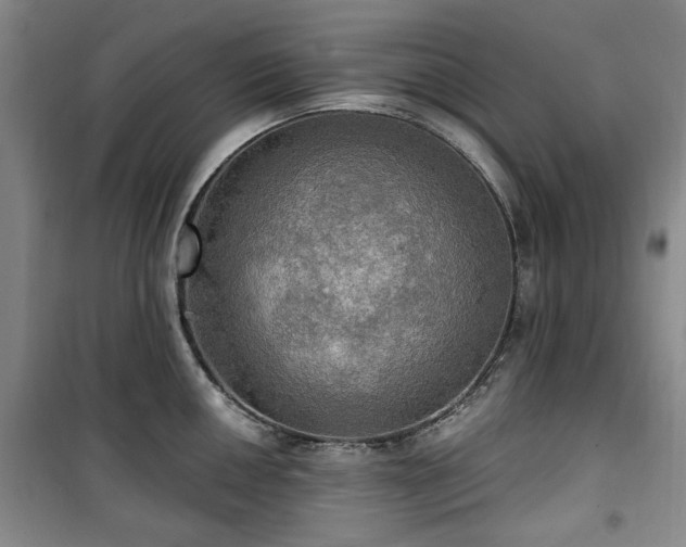 X0000100471050200806131123