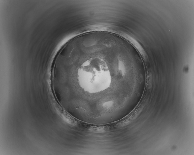 X0000100471051200806131123