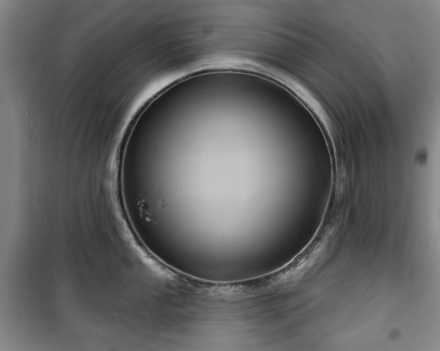 X0000100471053200806131123