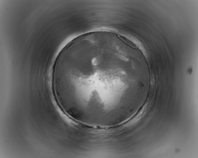 X0000100471054200806131123