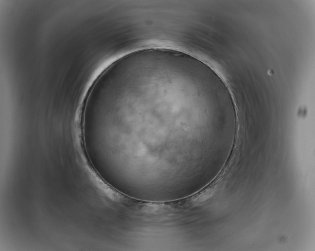 X0000100471056200806131123