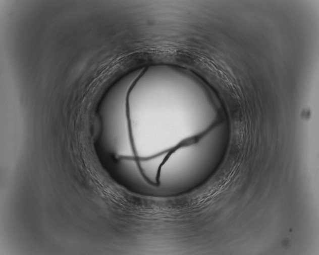 X0000100471057200806131122