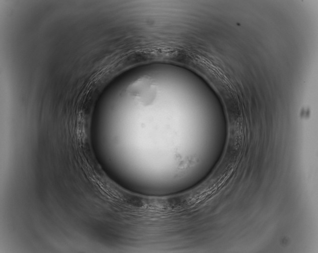 X0000100471058200806131122