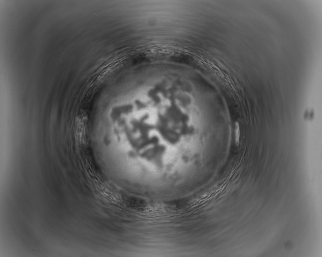 X0000100471059200806131122