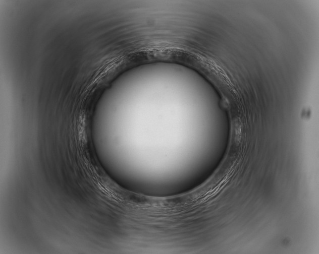 X0000100471060200806131122