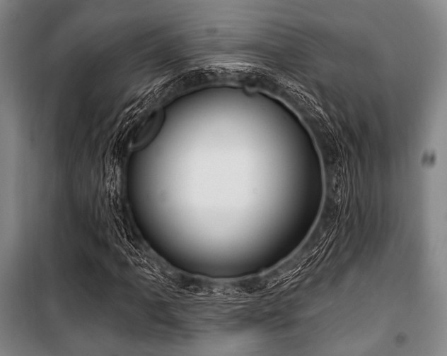 X0000100471061200806131122