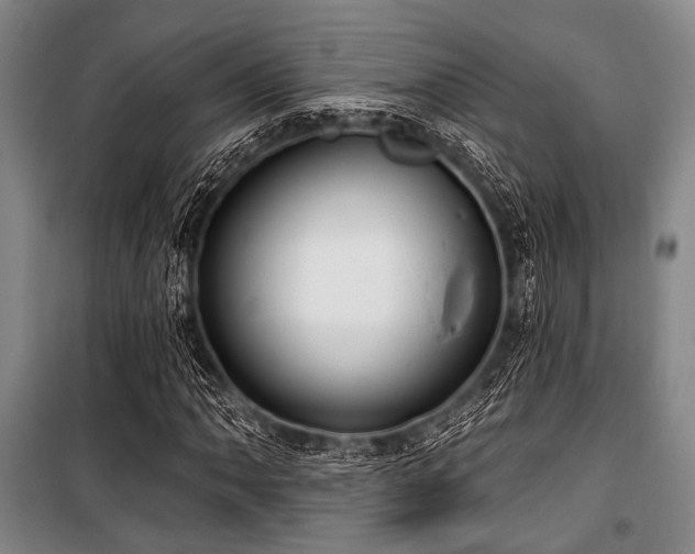 X0000100471062200806131122