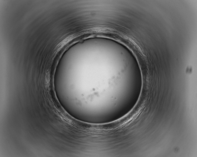 X0000100471065200806131122