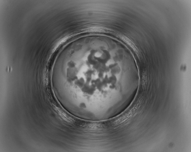 X0000100471067200806131122