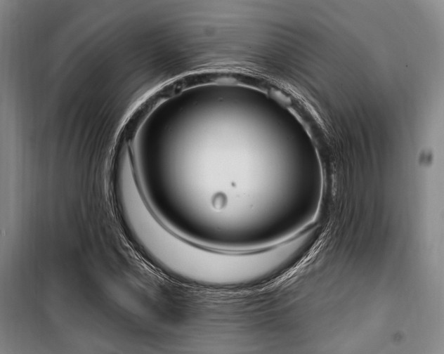 X0000100471069200806131122