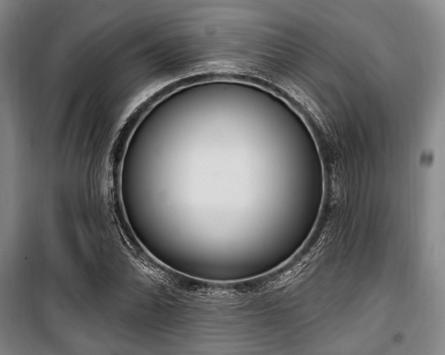 X0000100471070200806131122