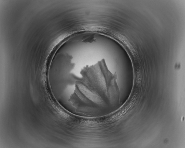 X0000100471071200806131122