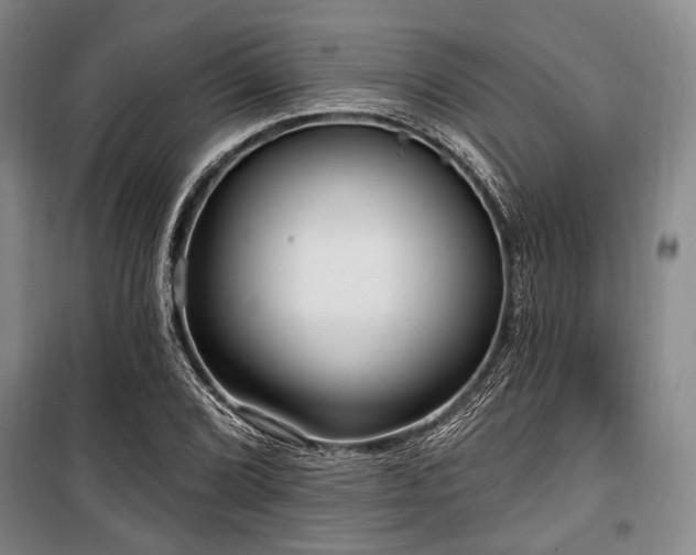 X0000100471072200806131122