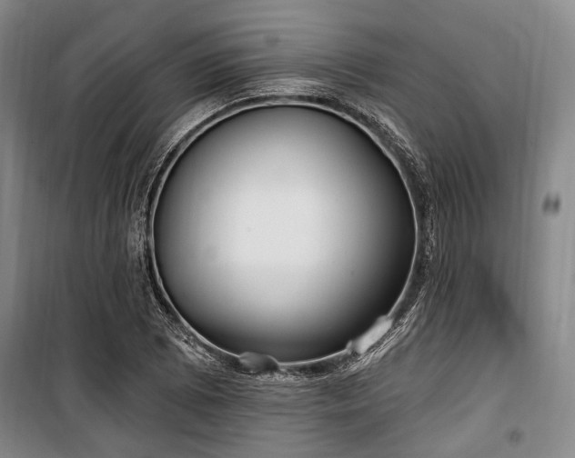 X0000100471073200806131122