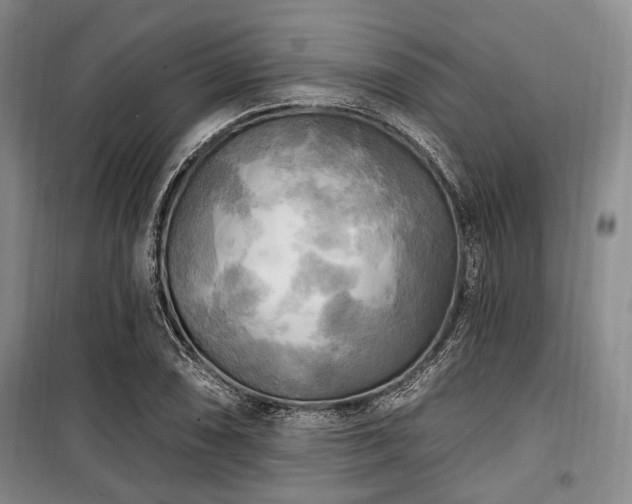 X0000100471074200806131122