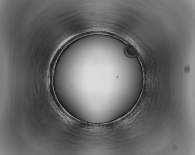 X0000100471076200806131122