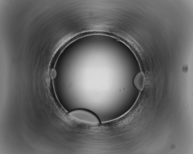 X0000100471077200806131122