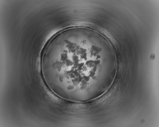 X0000100471079200806131122