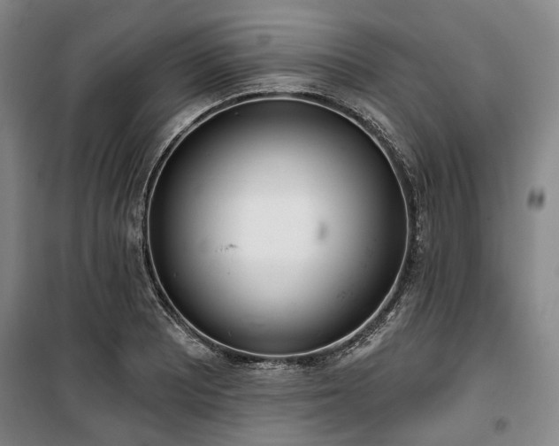 X0000100471081200806131122