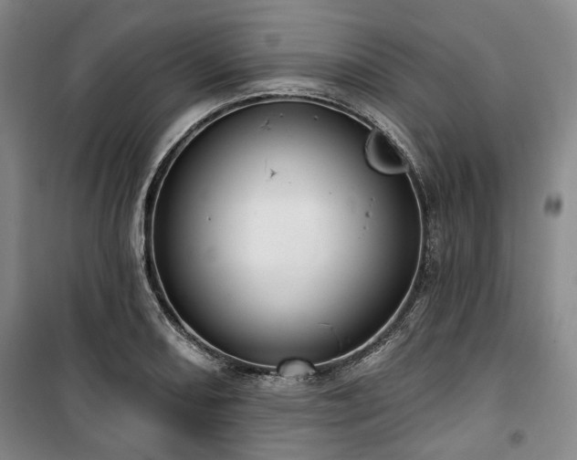 X0000100471082200806131122