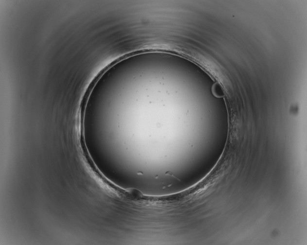 X0000100471084200806131122