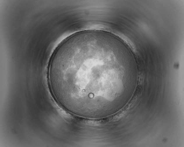 X0000100471086200806131122