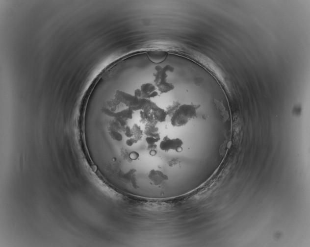 X0000100471091200806131122