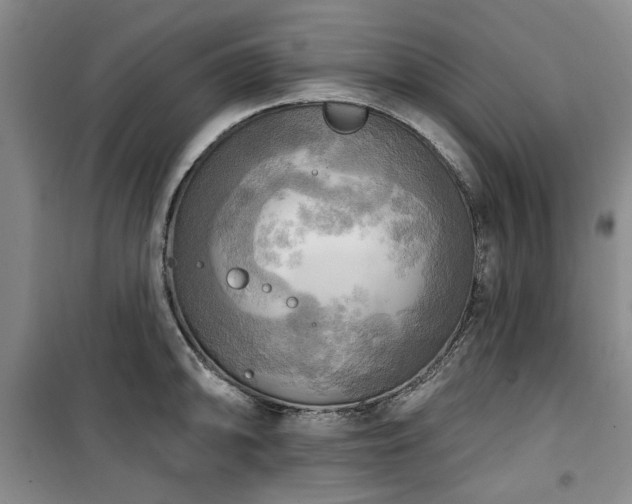 X0000100471094200806131122