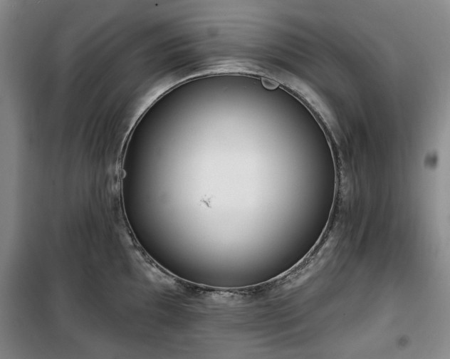 X0000100471097200806131122